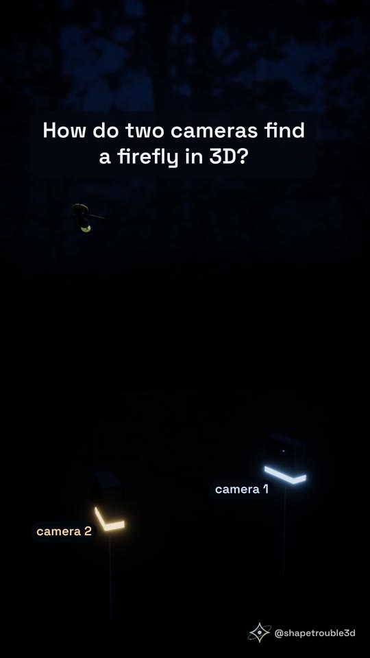 A firefly above two labelled cameras, with the caption: How do two cameras find a firefly in 3D?